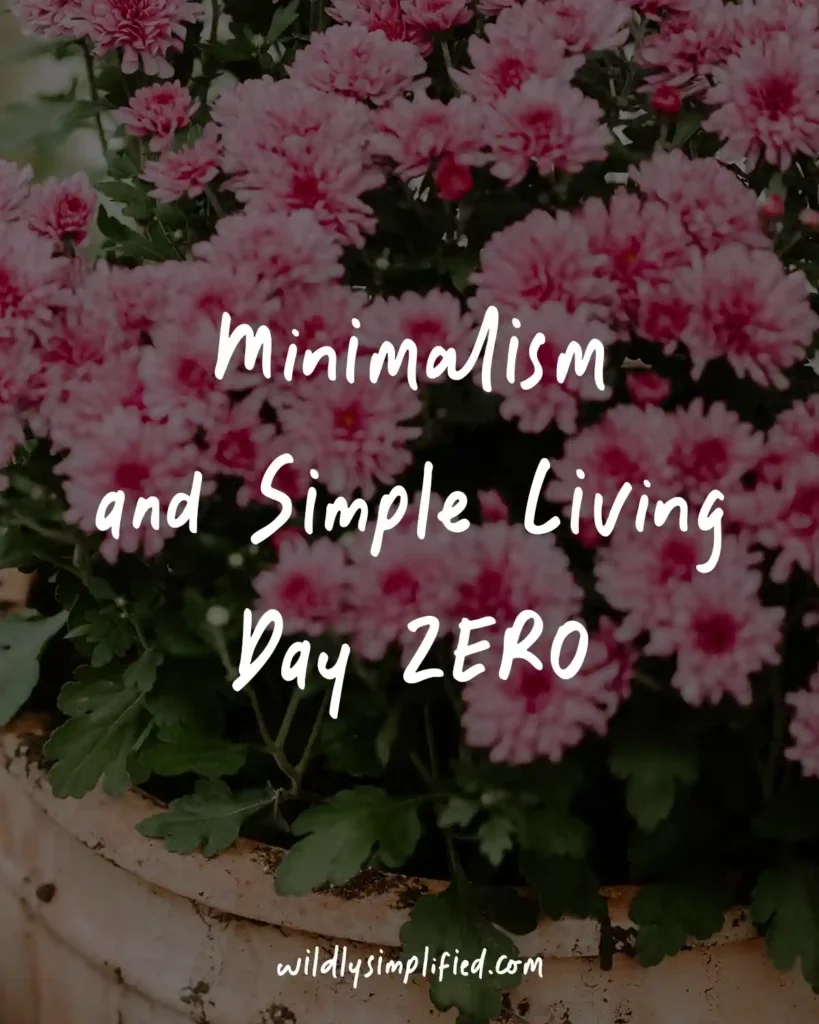 "Minimalism and Simple Living Day ZERO" written overtop a pink mums in a terracotta pot