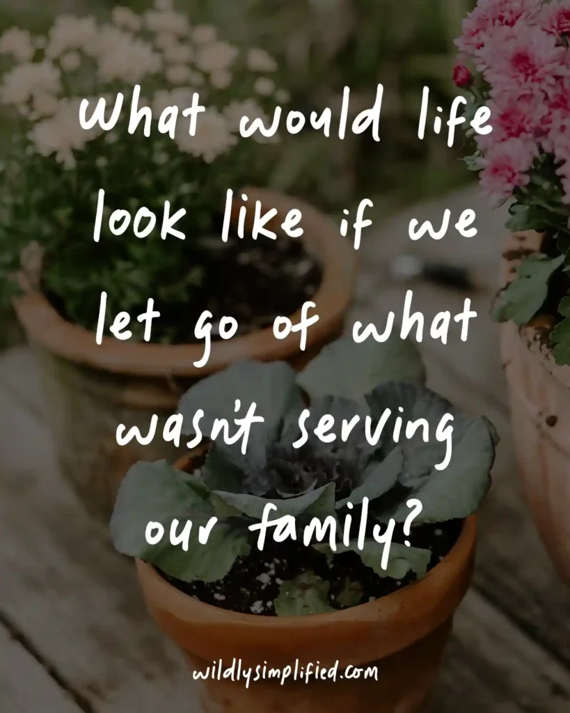 "What would life look like if we let go of what wasn't serving our family?" quote overlayed on potted plants