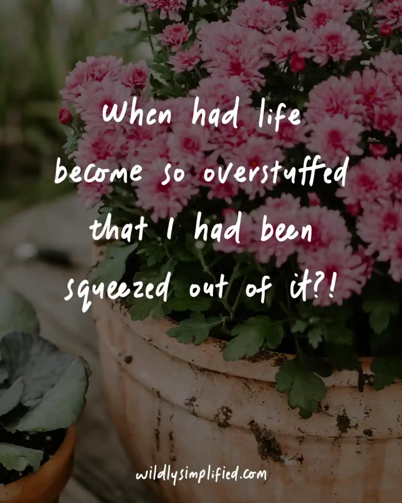 Mums in terracotta pots in the background with the text "when had life become so overstuffed that I had been squeezed out of it?!"